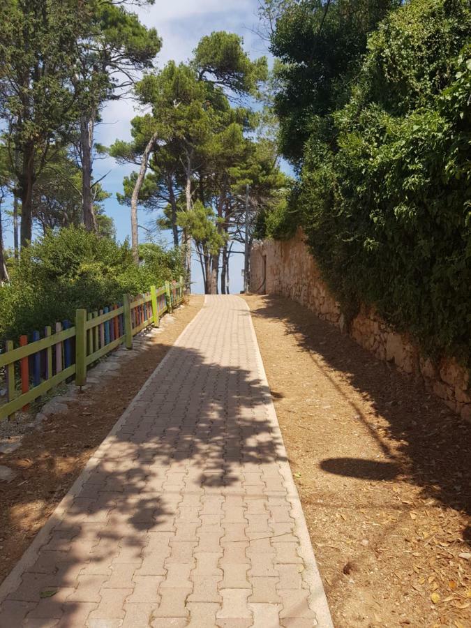 Apartment Zdenka Veli Lošinj Εξωτερικό φωτογραφία